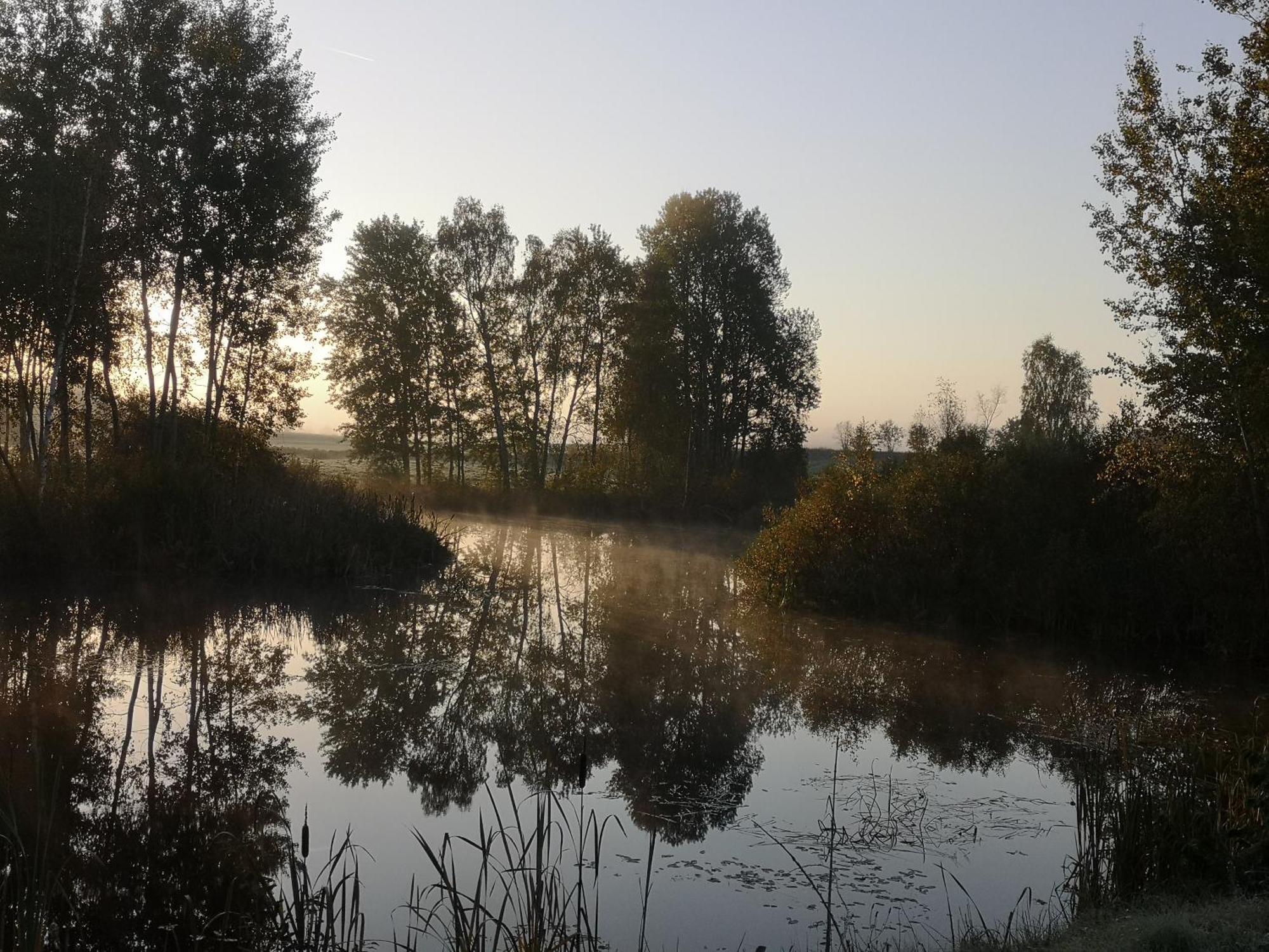 Willa Borowy Zakatek Stara Kiszewa Zewnętrze zdjęcie