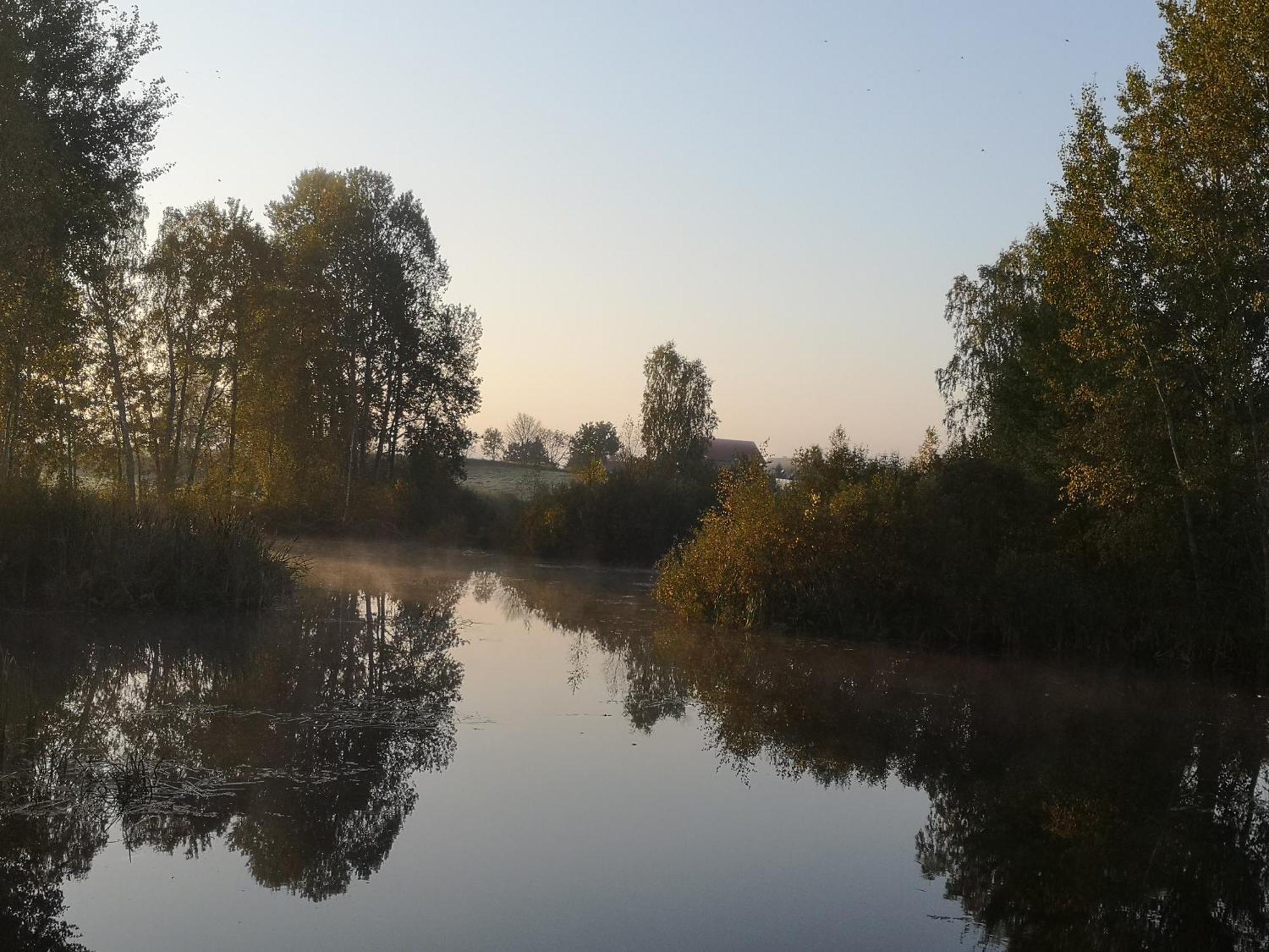 Willa Borowy Zakatek Stara Kiszewa Zewnętrze zdjęcie